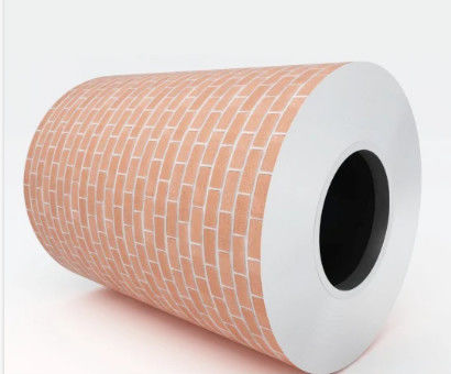 DX51D PPGI Coil en acier revêtu de couleur pour le bâtiment